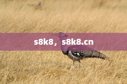 s8k8，s8k8.cn