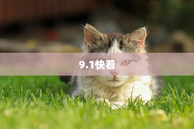9.1快看