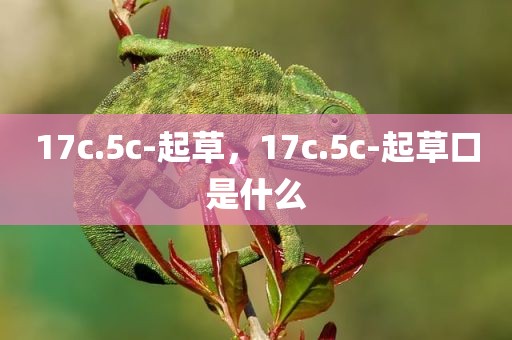 17c.5c-起草，17c.5c-起草口是什么