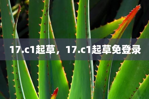 17.c1起草，17.c1起草免登录