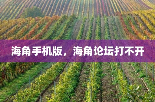 海角手机版，海角论坛打不开
