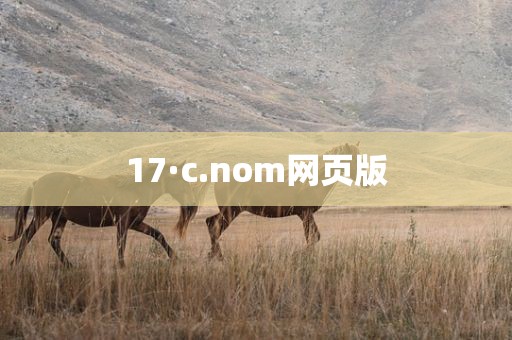 17·c.nom网页版