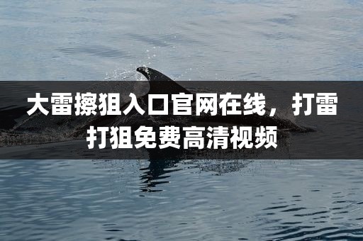 大雷擦狙入口官网在线，打雷打狙免费高清视频