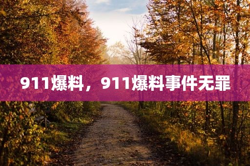 911爆料，911爆料事件无罪