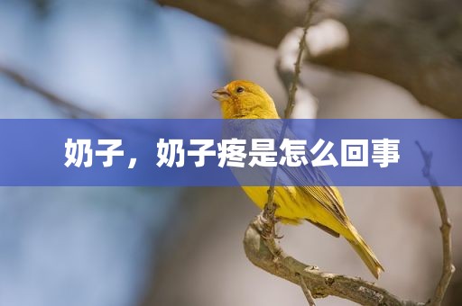 奶子，奶子疼是怎么回事