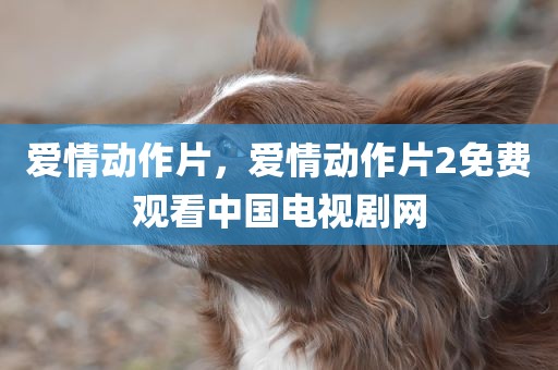 爱情动作片，爱情动作片2免费观看中国电视剧网