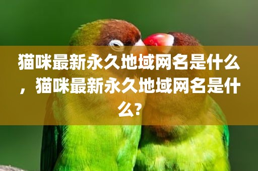 猫咪最新永久地域网名是什么，猫咪最新永久地域网名是什么?