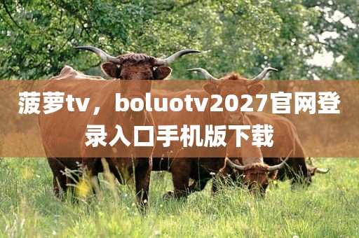 菠萝tv，boluotv2027官网登录入口手机版下载