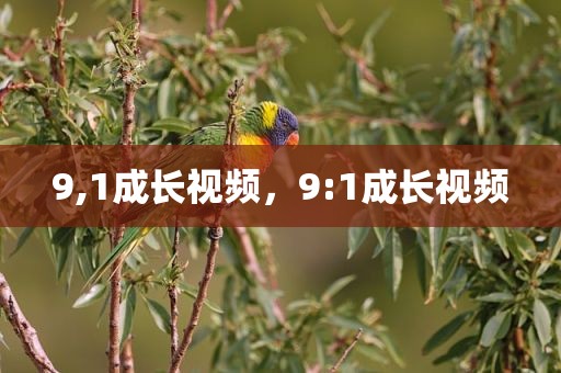 9,1成长视频，9:1成长视频