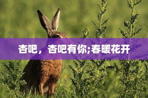 杏吧，杏吧有你;春暖花开