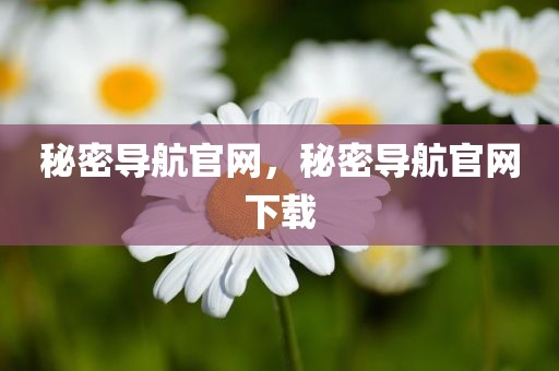 秘密导航官网，秘密导航官网下载