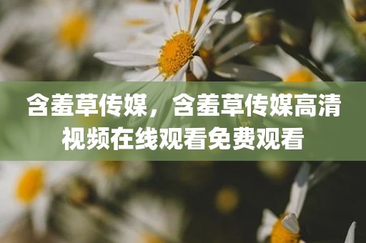 含羞草传媒，含羞草传媒高清视频在线观看免费观看