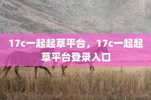 17c一起起草平台，17c一起起草平台登录入口