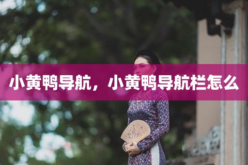 小黄鸭导航，小黄鸭导航栏怎么