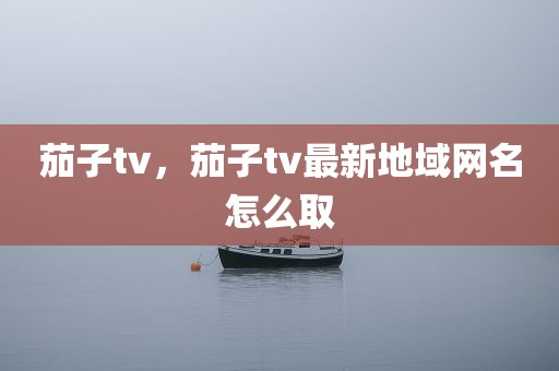 茄子tv，茄子tv最新地域网名怎么取