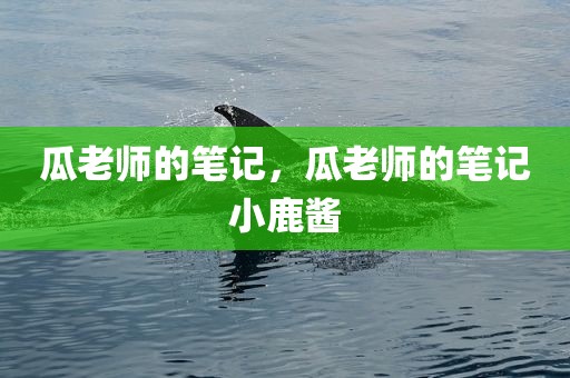 瓜老师的笔记，瓜老师的笔记小鹿酱