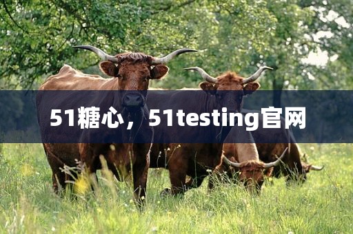 51糖心，51testing官网