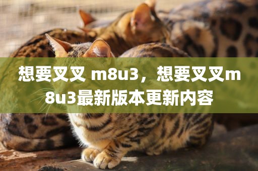 想要叉叉 m8u3，想要叉叉m8u3最新版本更新内容