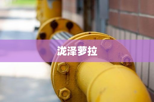 泷泽萝拉