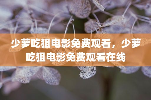 少萝吃狙电影免费观看，少萝吃狙电影免费观看在线