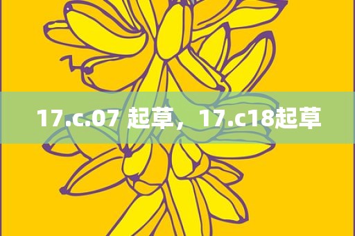 17.c.07 起草，17.c18起草