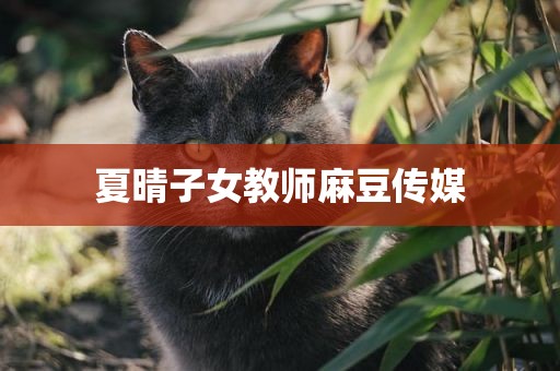 夏晴子女教师麻豆传媒
