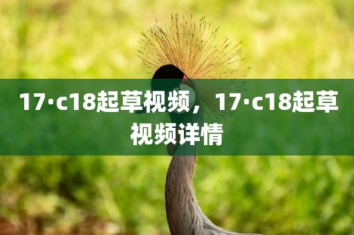 17·c18起草视频，17·c18起草视频详情