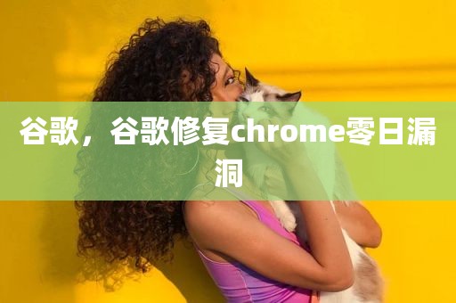 谷歌，谷歌修复chrome零日漏洞