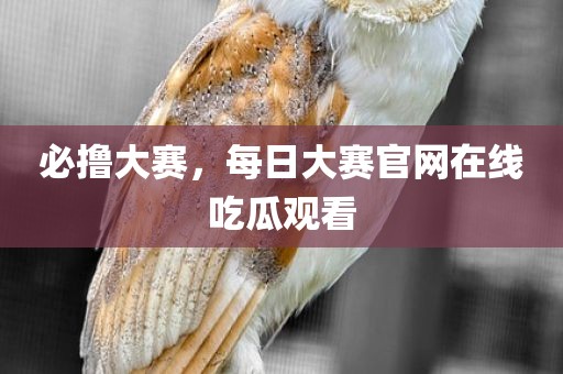 必撸大赛，每日大赛官网在线吃瓜观看