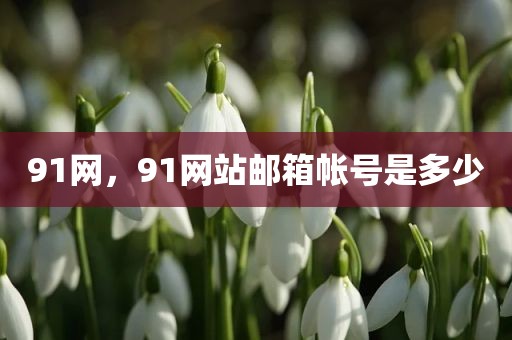 91网，91网站邮箱帐号是多少