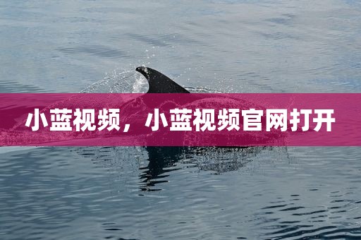 小蓝视频，小蓝视频官网打开