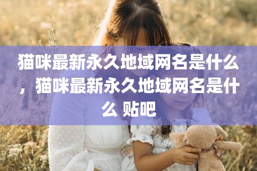 猫咪最新永久地域网名是什么，猫咪最新永久地域网名是什么 贴吧