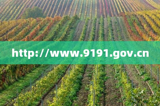 http://www.9191.gov.cn