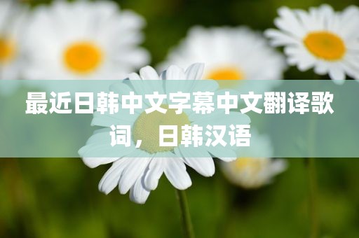 最近日韩中文字幕中文翻译歌词，日韩汉语