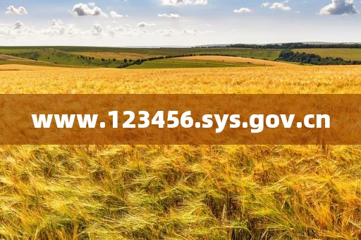 www.123456.sys.gov.cn