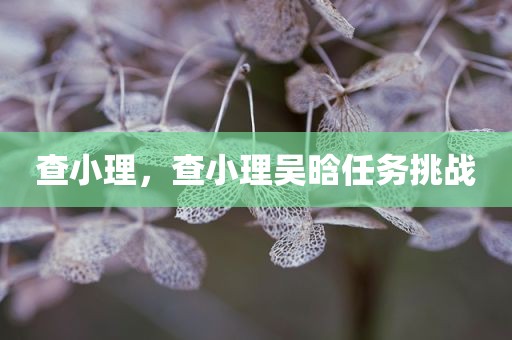 查小理，查小理吴晗任务挑战