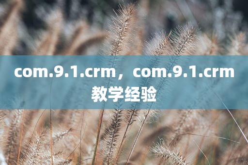 com.9.1.crm，com.9.1.crm教学经验