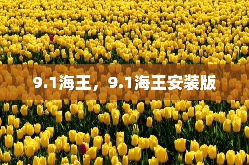 9.1海王，9.1海王安装版