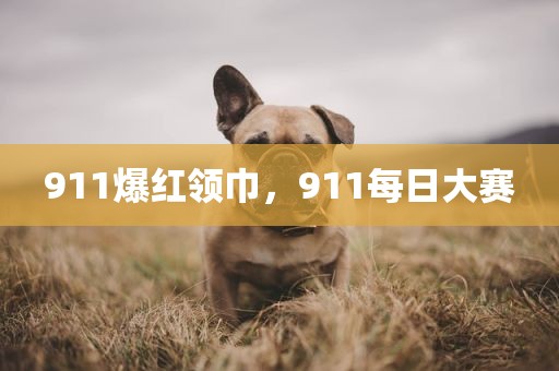 911爆红领巾，911每日大赛