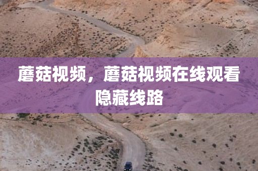 蘑菇视频，蘑菇视频在线观看隐藏线路