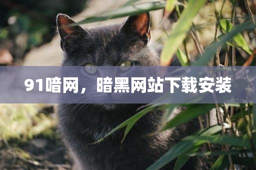 91喑网，暗黑网站下载安装
