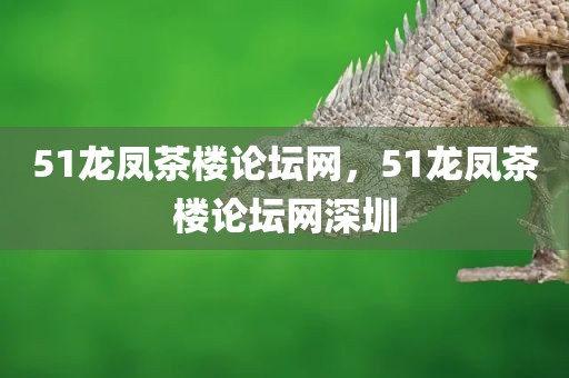 51龙凤茶楼论坛网，51龙凤茶楼论坛网深圳