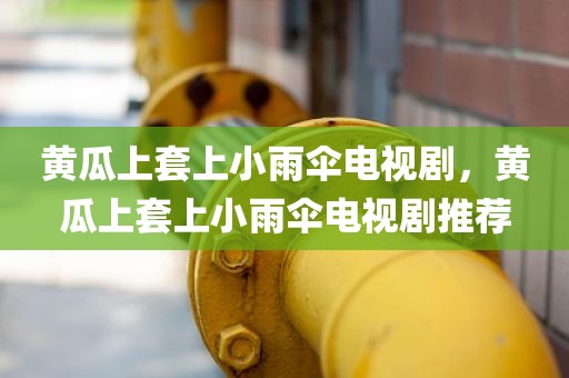 黄瓜上套上小雨伞电视剧，黄瓜上套上小雨伞电视剧推荐