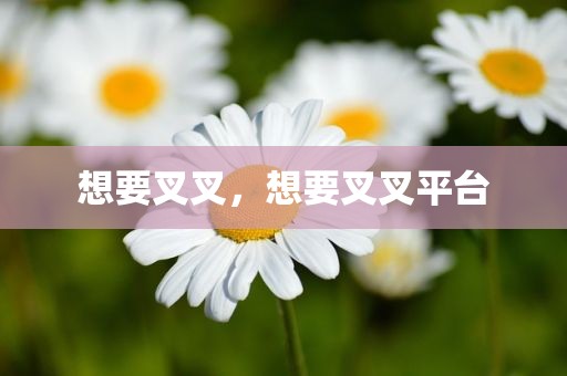 想要叉叉，想要叉叉平台
