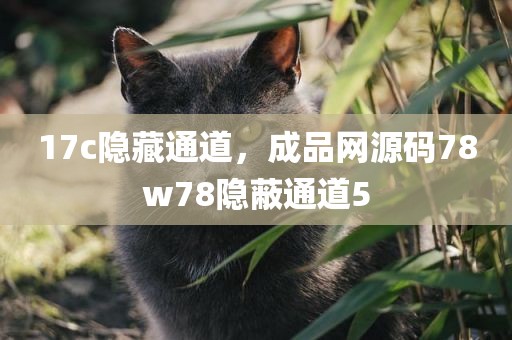 17c隐藏通道，成品网源码78w78隐蔽通道5