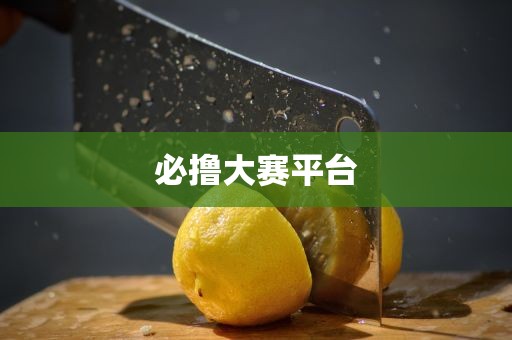 必撸大赛平台