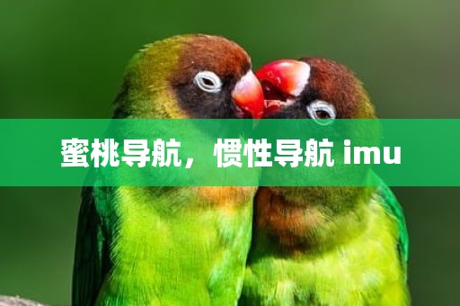 蜜桃导航，惯性导航 imu