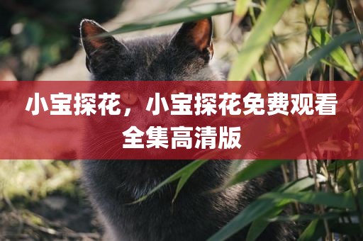 小宝探花，小宝探花免费观看全集高清版