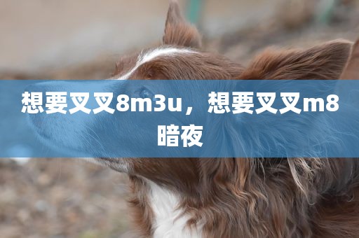 想要叉叉8m3u，想要叉叉m8暗夜