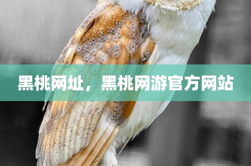 黑桃网址，黑桃网游官方网站